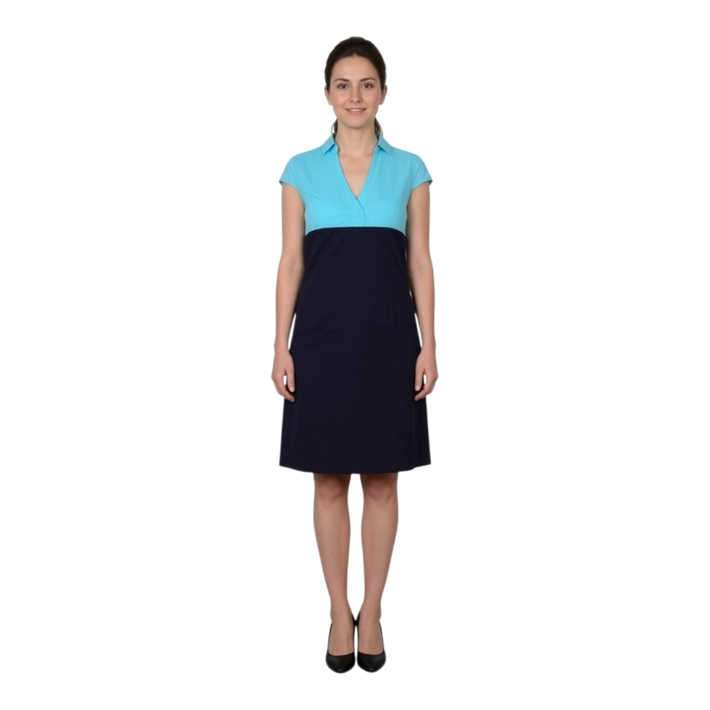NWT Valesi Blouse dress